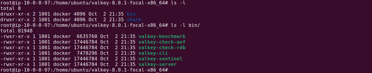 Valkey tutorial terminal screenshot