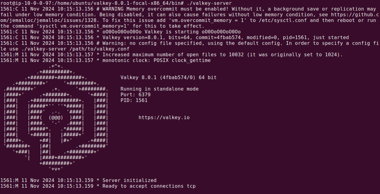Valkey tutorial terminal screenshot