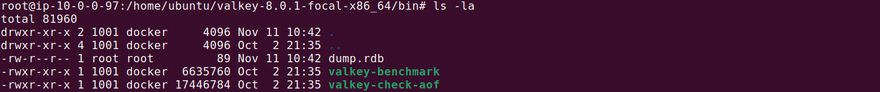 Valkey tutorial terminal screenshot