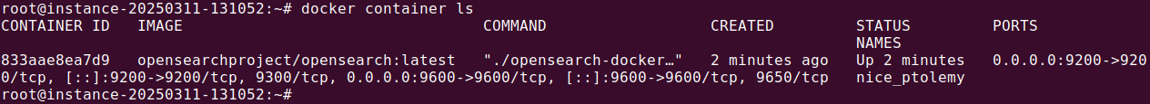 Docker Opensearch tutorial terminal screenshot