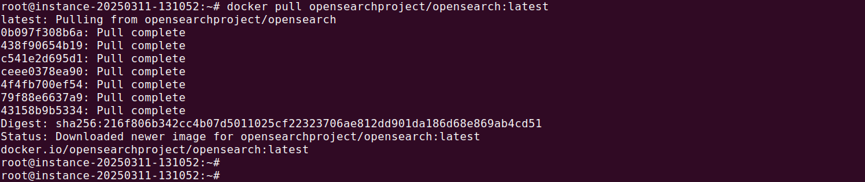Docker Opensearch tutorial terminal screenshot