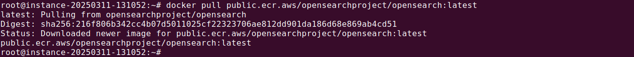 Docker Opensearch tutorial terminal screenshot