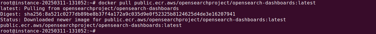 Docker Opensearch tutorial terminal screenshot